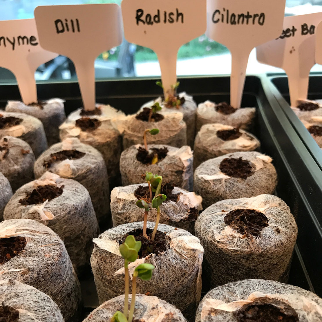 Earth-Friendly Tips from the Tiger Woods Foundation’s Programs Team